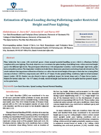 Estimation of spinal loading during palletizing under restricted height and poor lighting