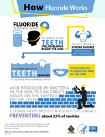 How Fluoride Works and social media sharables 2024