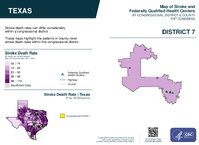 TX Congressional District 07 Stroke and Federally Qualified Health Centers Map 119th Congress