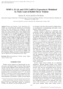 MMP1 IL1beta and COX2 mRNA expression is modulated by static load in rabbit flexor tendons