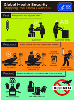 Stopping the Ebola outbreak
