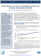 Suicide Rates for the Three Leading Methods by Race and Ethnicity United States 20002020