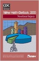 Worker Health Chartbook 2000 Nonfatal Injury