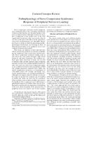 Pathophysiology of Nerve Compression Syndromes Response of Peripheral Nerves to Loading