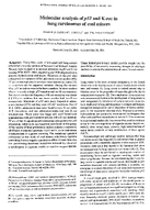 Molecular Analysis of p53 and KRas in Lung Carcinomas of Coal Miners