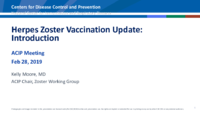 Herpes zoster vaccination update  introduction