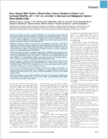 Raw SingleWall Carbon Nanotubes Induce Oxidative Stress and Activate MAPKs AP1 NFB and Akt in Normal and Malignant Human Mesothelial Cells