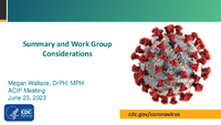 Summary and work group considerations