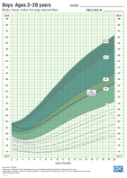 Body Mass IndexforAge Percentiles Boys Ages 220 Years Percentiles