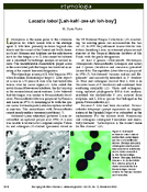 Etymologia Lacazia loboi