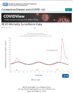 NCHS mortality surveillance data  updated July 44 2020