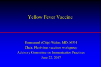 Yellow fever vaccine