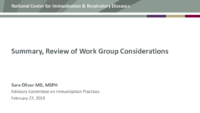 Summary review of Work Group considerations