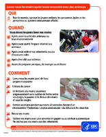 Lavezvous les mains aprs toute rencontre avec des animaux
