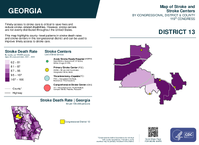 GA Congressional District 13 Stroke and Stroke Centers Map 119th Congress