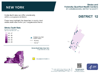 NY Congressional District 12 Stroke and Federally Qualified Health Centers Map 118th Congress