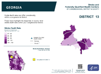GA Congressional District 13 Stroke and Federally Qualified Health Centers Map 118th Congress