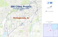 500 Cities Project Local Data for Better Health 2014 Bolingbrook IL
