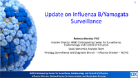 Update on Influenza BYamagata Surveillance