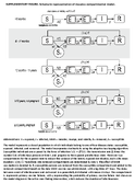 Supplementary Figure RealTime Use of a Dynamic Model to Measure the Impact of Public Health Interventions on Measles Outbreak Size and Duration  Chicago Illinois 2024