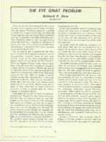 The eye gnat problem