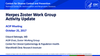 Herpes Zoster Work Group Activity Update
