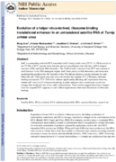 Evolution of a helper virusderived ribosome binding translational enhancer in an untranslated satellite RNA of Turnip crinkle virus