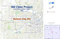 500 Cities Project Local Data for Better Health 2014 Kansas City KS