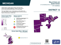 MI Congressional District 13 Stroke and Stroke Centers Map 119th Congress