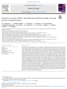 Formation of Protein Adducts with HydroperoxyPE Electrophilic Cleavage Products During Ferroptosis