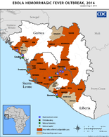 Ebola Hemorrhagic Fever Outbreak 2014 Updated Aug 4 2014