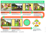 Despistagem de 21 dias de contactos directos de pacientes com bola