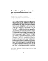 Protein Phosphorylation Cascades Associated with MethamphetamineInduced Glial Activation
