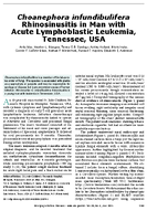 Choanephora infundibulifera Rhinosinusitis in Man with Acute Lymphoblastic Leukemia Tennessee USA