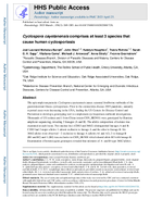 Cyclospora cayetanensis comprises at least 3 species that cause human cyclosporiasis