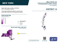 NY Congressional District 10 Stroke and Federally Qualified Health Centers Map 119th Congress