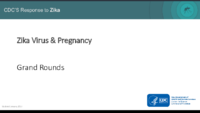 Zika Virus and Pregnancy January 2017