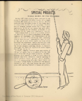 Special projects Single residual DDT spray recommended