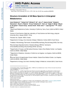 Structure Annotation of All Mass Spectra in Untargeted Metabolomics