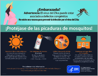 Embarazada Protjase de las picaduras de mosquitos