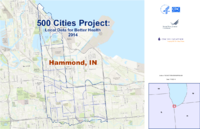 500 Cities Project Local Data for Better Health 2014 Hammond Indiana