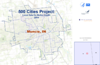 500 Cities Project Local Data for Better Health 2014 Muncie Indiana