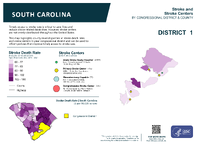 SC Congressional District 01 Stroke and Stroke Centers Map 118th Congress