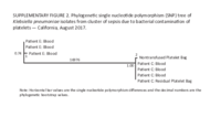 Supplementary Figure 2 Phylogenetic Single Nucleotide Polymorphism SNP Tree of Klebsiella Pneumoniae Isolates From Cluster of Sepsis Due to Bacterial Contamination of Platelets California August 2017