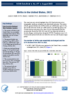Births in the United States 2022