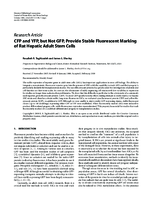 CFP and YFP but Not GFP Provide Stable Fluorescent Marking of Rat Hepatic Adult Stem Cells