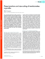 Phase transitions and size scaling of membraneless organelles