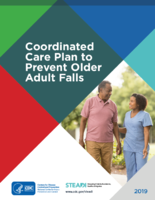 Coordinated care plan to prevent older adult falls