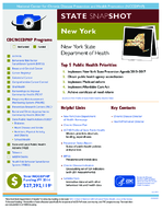 State Snapshot New York