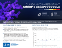 CDCs 2019 Antibiotic Resistance Threats Report Clindamycinresistant Group BStreptococcus